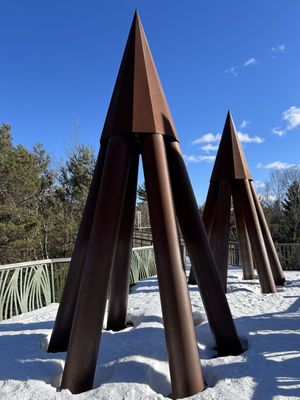 The Wild Center by null