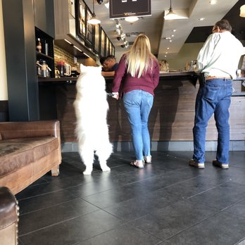 Starbucks - 1 Puperchino please.... - Coffee & Tea Near Me - San Clemente, California Starbucks - 1 Puperchino please.... - Coffee & Tea Near Me - San Clemente, California
