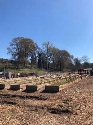 Truly Living Well Center for Natural Urban Agriculture - Collegetown Farm by null