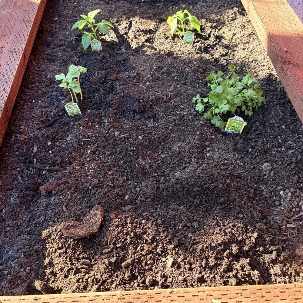 Tropical Landscape - Garden boxes, built and installed by Tropical Landscaping. - Landscaping Near Me - Oakley, California Tropical Landscape - Garden boxes, built and installed by Tropical Landscaping. - Landscaping Near Me - Oakley, California