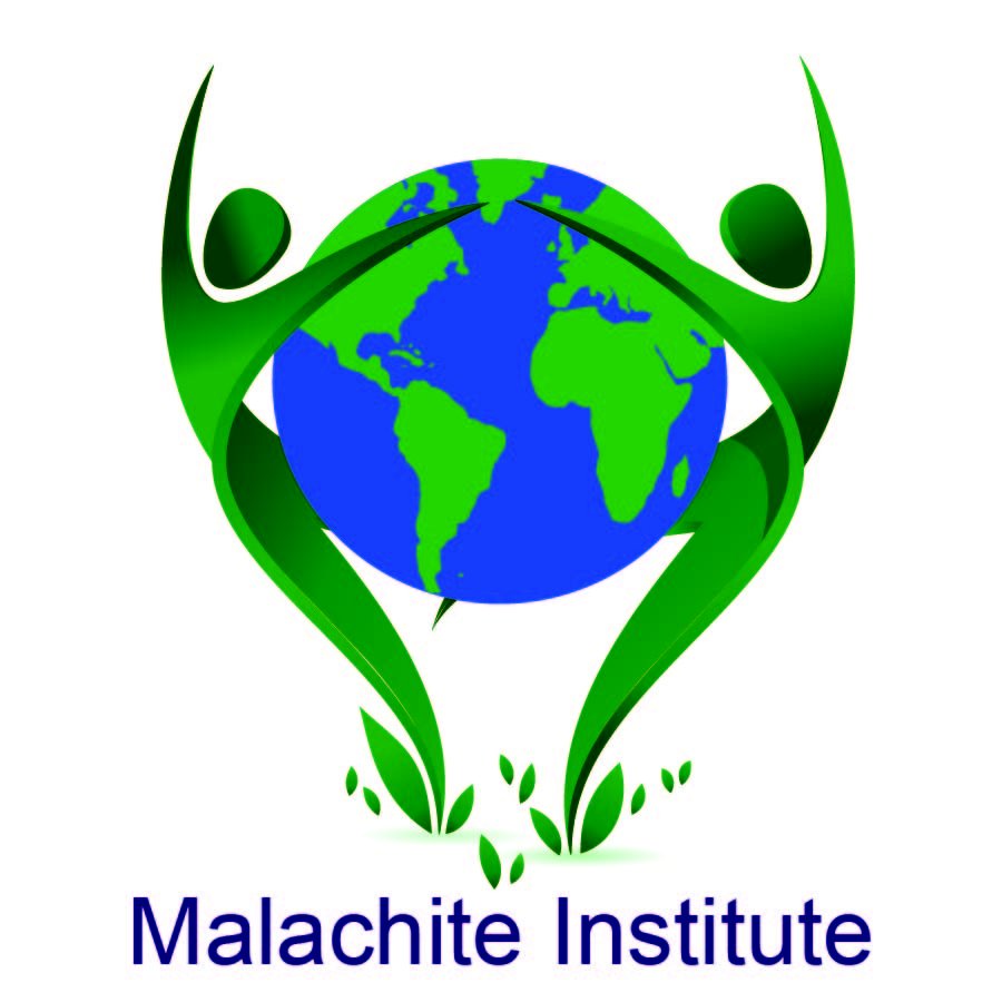 Malachite Institute For Behavioral Health - child therapist in Bethesda, MD