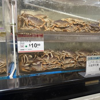 99 RANCH MARKET - Updated July 2024 - 659 Photos & 378 Reviews - 1005 ...