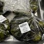 Photo of Lowe's Fiesta Foods - Las Cruces