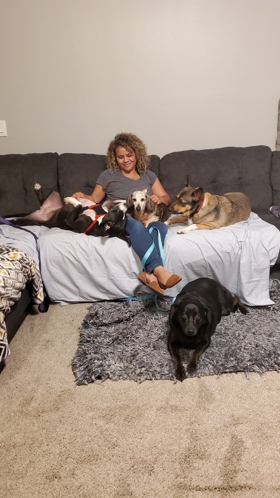 IT’S A DOGGY DAWG WORLD Updated September 2024 52 Photos 2658