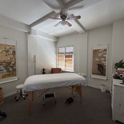 Kristen Swegles, LAC MTCM CMP - Treatment room with natural light and an amethyst Biomat on table and healing vibes.