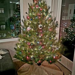 Alhambra Christmas Tree Farm - Monterey Pine