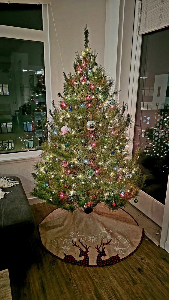 ALHAMBRA CHRISTMAS TREE FARM TEMP. CLOSED Updated September 2024 13 Photos & 38 Reviews