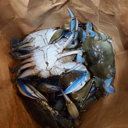JC's Seafood - Yummmm. Unfortunately outta season for the females.