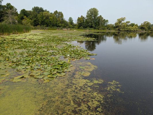Bay City State Park by null