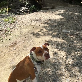 Rose Lane Park - C'mon mamaaaaaaa... quite Yelping & keep walking! - Parks Near Me - Annandale, Virginia Rose Lane Park - C'mon mamaaaaaaa... quite Yelping & keep walking! - Parks Near Me - Annandale, Virginia