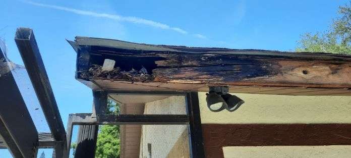 Slide of Wild Roofing