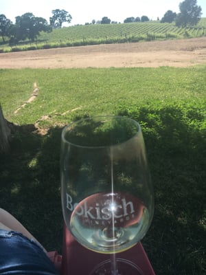 Bokisch Vineyards by null