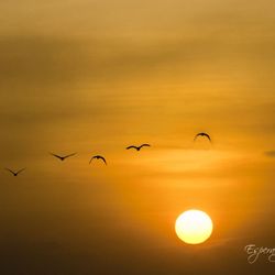 little plains beach - Spring sunset