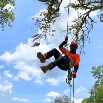Fieldstone Landscape Services - Tree Services Near Me - Clearwater, Florida Fieldstone Landscape Services - Tree Services Near Me - Clearwater, Florida