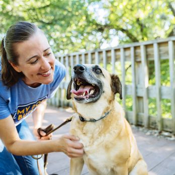 Miami Dog Butler - Dog Walkers Near Me - Miami, Florida Miami Dog Butler - Dog Walkers Near Me - Miami, Florida