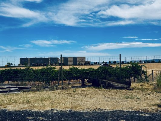 Clearwater Canyon Cellars by null