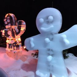 Eiswelt Mainz