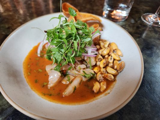 Fortuna's Row by null