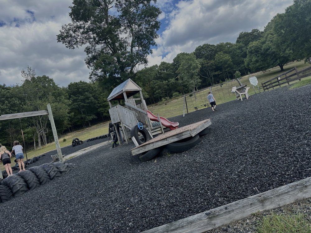 Dan's Mountain State Park Logo