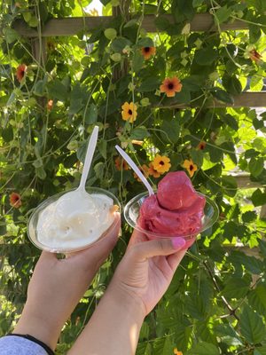 Adele's Frozen Custard by null