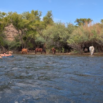 Salt River Tubing - Rafting/Kayaking Near Me - Mesa, Arizona Salt River Tubing - Rafting/Kayaking Near Me - Mesa, Arizona