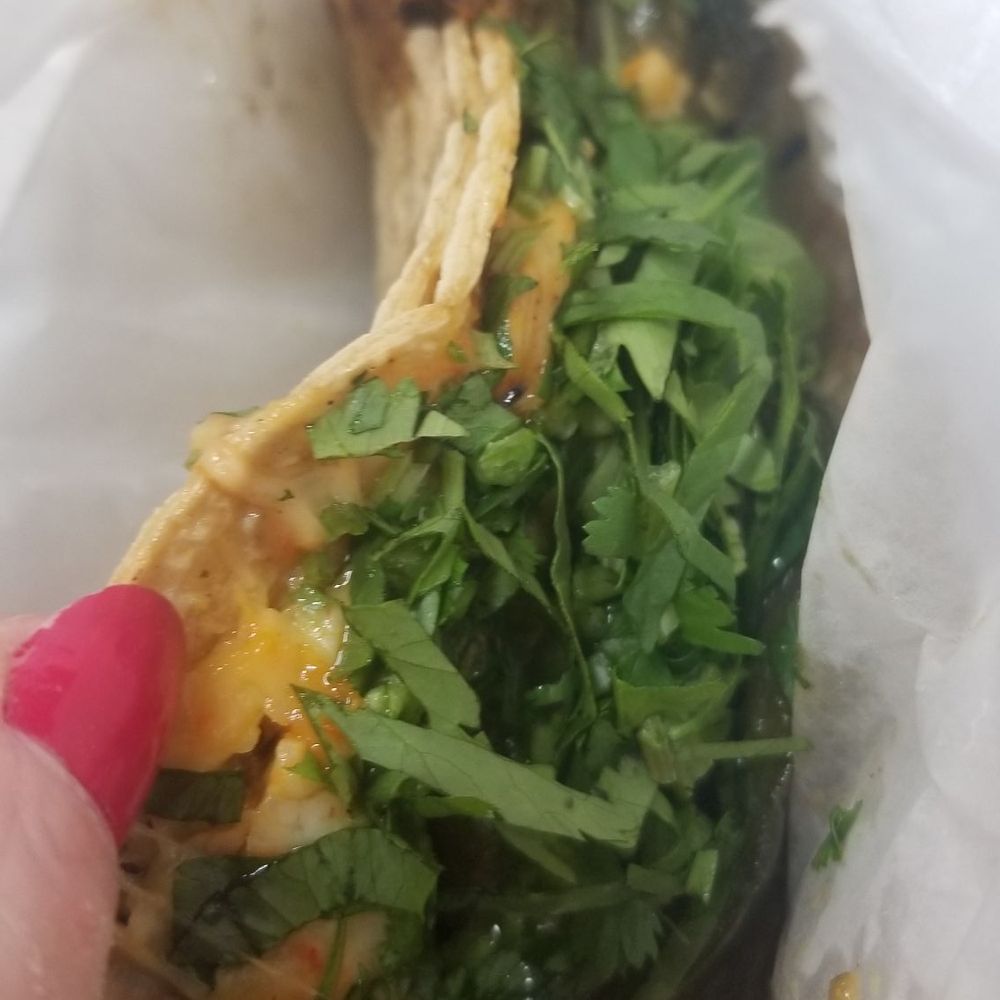 L' Patron Tacos - Poblano taco - New Mexican Cuisine Near Me - Chicago, Illinois L' Patron Tacos - Poblano taco - New Mexican Cuisine Near Me - Chicago, Illinois