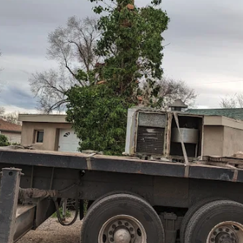 Terry's Tree Service - Tree Services Near Me