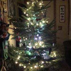 Haslett Road Christmas Tree Farm - Fully dressed and lit for the season!