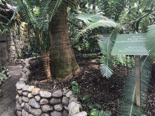 Botaniska trädgården by null