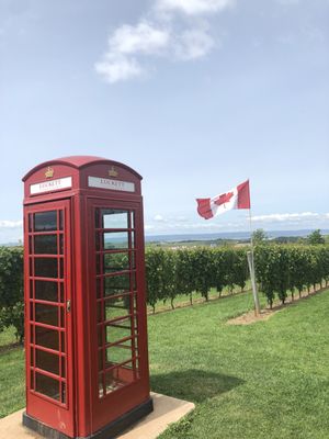 Luckett Vineyards by null