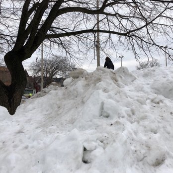 Alexandra Park - Giant zamboni snow hill. - Parks Near Me - Toronto, Ontario