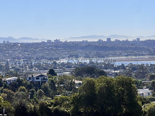 Kate Sessions Memorial Park by null