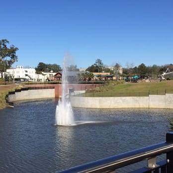 Cascades Park - View of the park from the bridge - Parks Near Me - Tallahassee, Florida Cascades Park - View of the park from the bridge - Parks Near Me - Tallahassee, Florida
