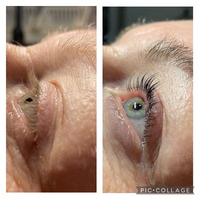 Lash ology and Spa
