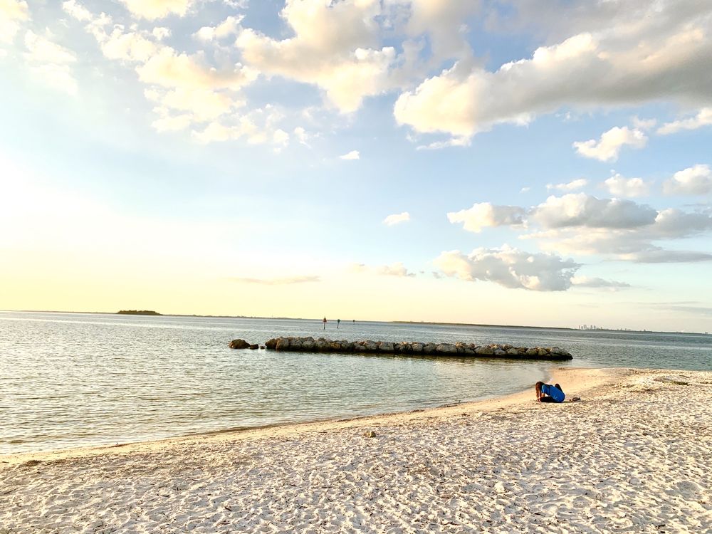 APOLLO BEACH NATURE PRESERVE 227 Photos & 38 Reviews 6760 Surfside