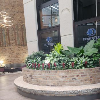 DoubleTree by Hilton Hotel Murfreesboro - Lobby - Hotels Near Me - Murfreesboro, Tennessee DoubleTree by Hilton Hotel Murfreesboro - Lobby - Hotels Near Me - Murfreesboro, Tennessee