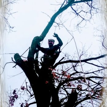 All About Trees - Making It Happen - Tree Services Near Me - Blanchard, Oklahoma All About Trees - Making It Happen - Tree Services Near Me - Blanchard, Oklahoma