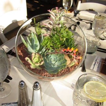 Succulently Urban - Centerpiece Masterpiece! - Florists Near Me Succulently Urban - Centerpiece Masterpiece! - Florists Near Me