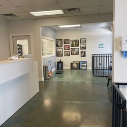 Mod Mutt Salon
