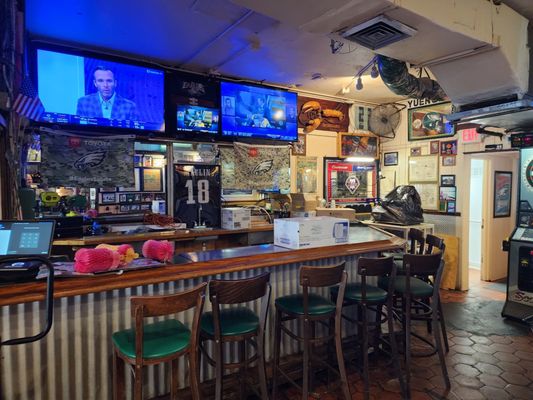 Parrot Lounge by null