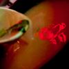 Moon Thai & Japanese gift card