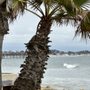 Photo of Beachfronter