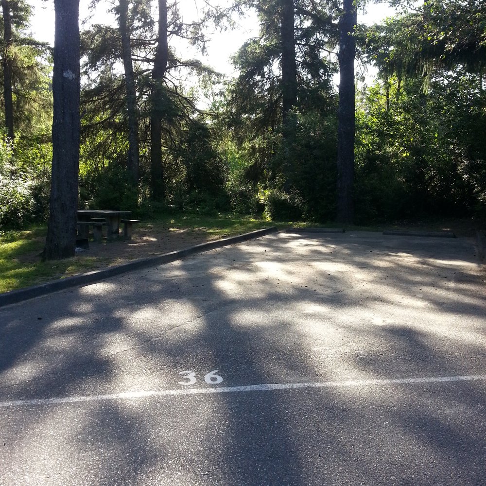 Spinreel Campground - Campsite #36 - Campgrounds Near Me - North Bend, Oregon Spinreel Campground - Campsite #36 - Campgrounds Near Me - North Bend, Oregon
