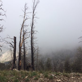 Charleston Peak - Beautiful, enchanted Forest. - Hiking Near Me - Mt. Charleston, Nevada Charleston Peak - Beautiful, enchanted Forest. - Hiking Near Me - Mt. Charleston, Nevada