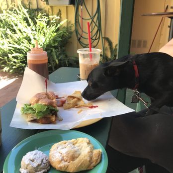 Luna Coffee Bar - Fur fam friendly - Coffee & Tea Near Me - Cayucos, California Luna Coffee Bar - Fur fam friendly - Coffee & Tea Near Me - Cayucos, California