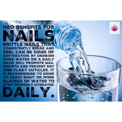 Sugarcoat Nail Lounge N Spa