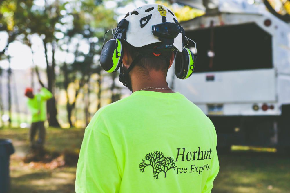 Horhut Tree Experts - tree service in Pittsburgh, PA