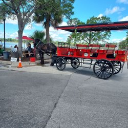 Sea Island Carriage Company - Sea Island Carriage Tour, horse - Justin
