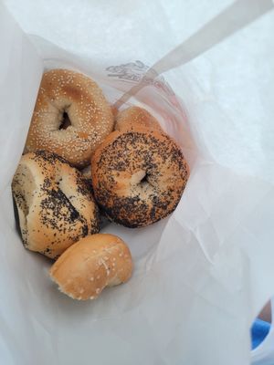 Shirley's Bagels by null