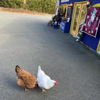 Beech Spring Gift Shop - Guard chickens! - Gift Shops Near Me - Sperryville, Virginia